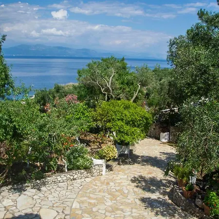 Paxos Sunrise